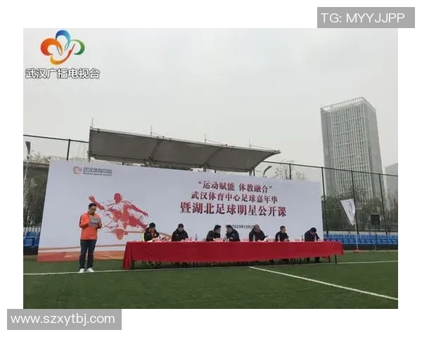 武汉足球队运营策略深度分析与发展前景探讨